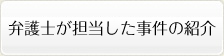 弁護士が担当した事件の紹介